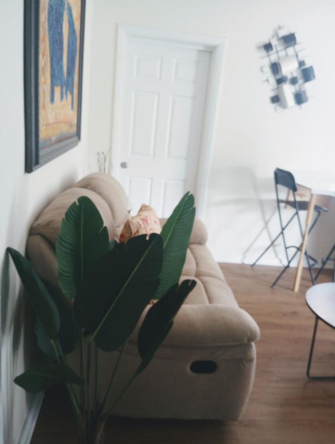 Sunshine Apartment St. Petersburg Ngoại thất bức ảnh